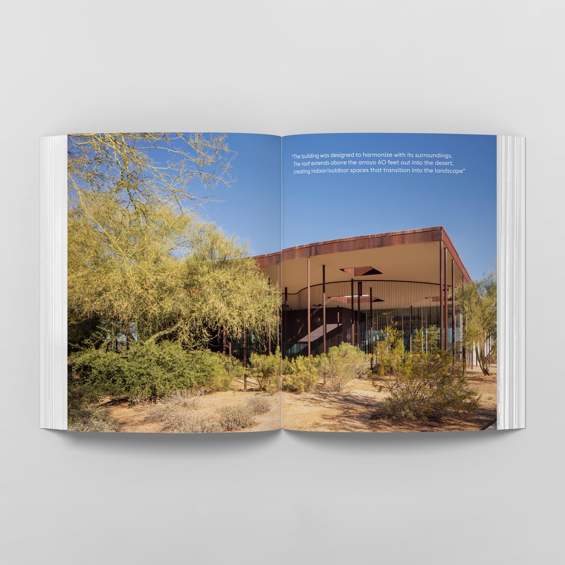 Reading Room: New and Reimagined Libraries of the American West