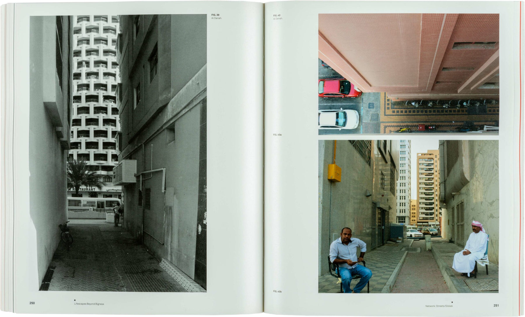 Lifescapes Beyond Bigness